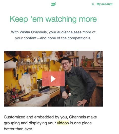 vide email marketing wistia
